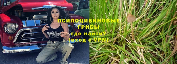 ГАЛЛЮЦИНОГЕННЫЕ ГРИБЫ Верхний Тагил