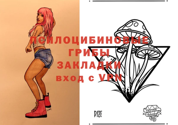 ГАЛЛЮЦИНОГЕННЫЕ ГРИБЫ Верхний Тагил