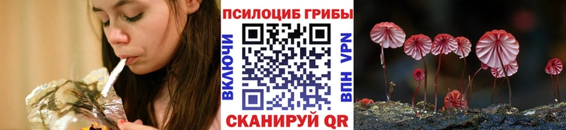 Псилоцибиновые грибы ЛСД  купить закладку  блэк спрут вход  Севастополь 